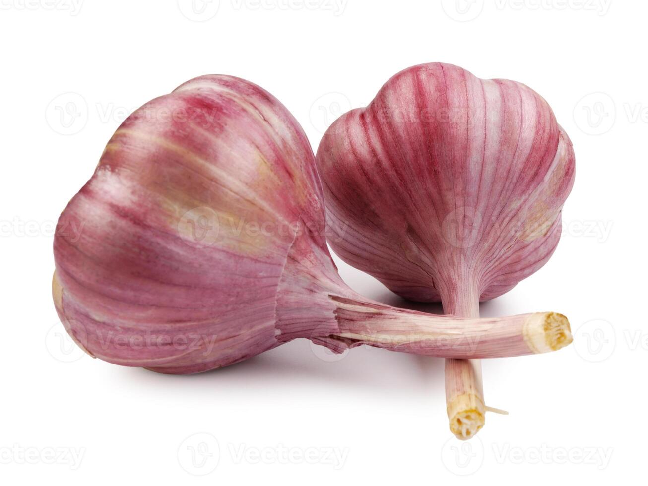 Two garlic bulbs isolated on a white background. Unpeeled garlic bulb .Full clipping path. photo