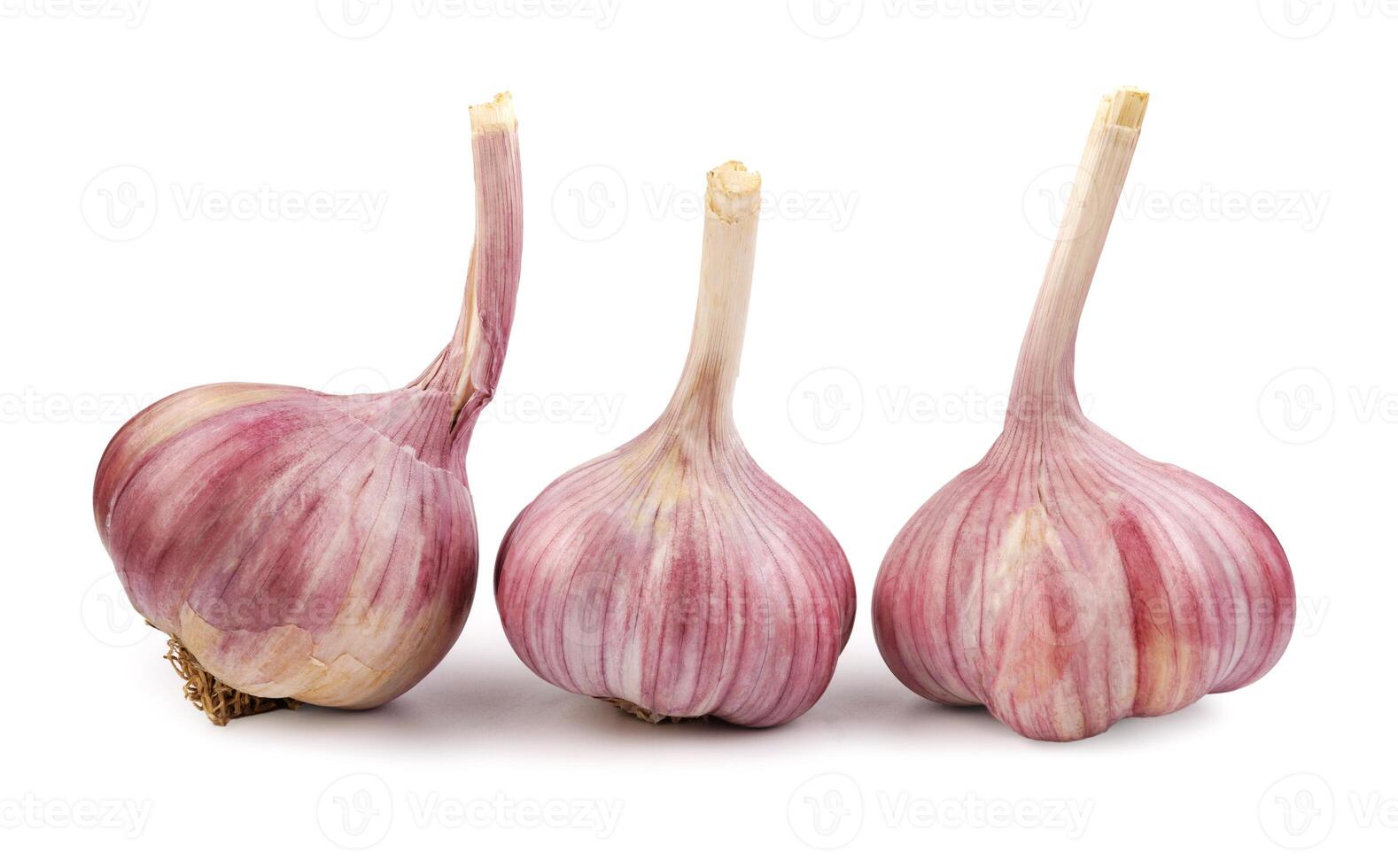 Three garlic bulbs isolated on a white background. Unpeeled garlic bulb .Full clipping path. photo