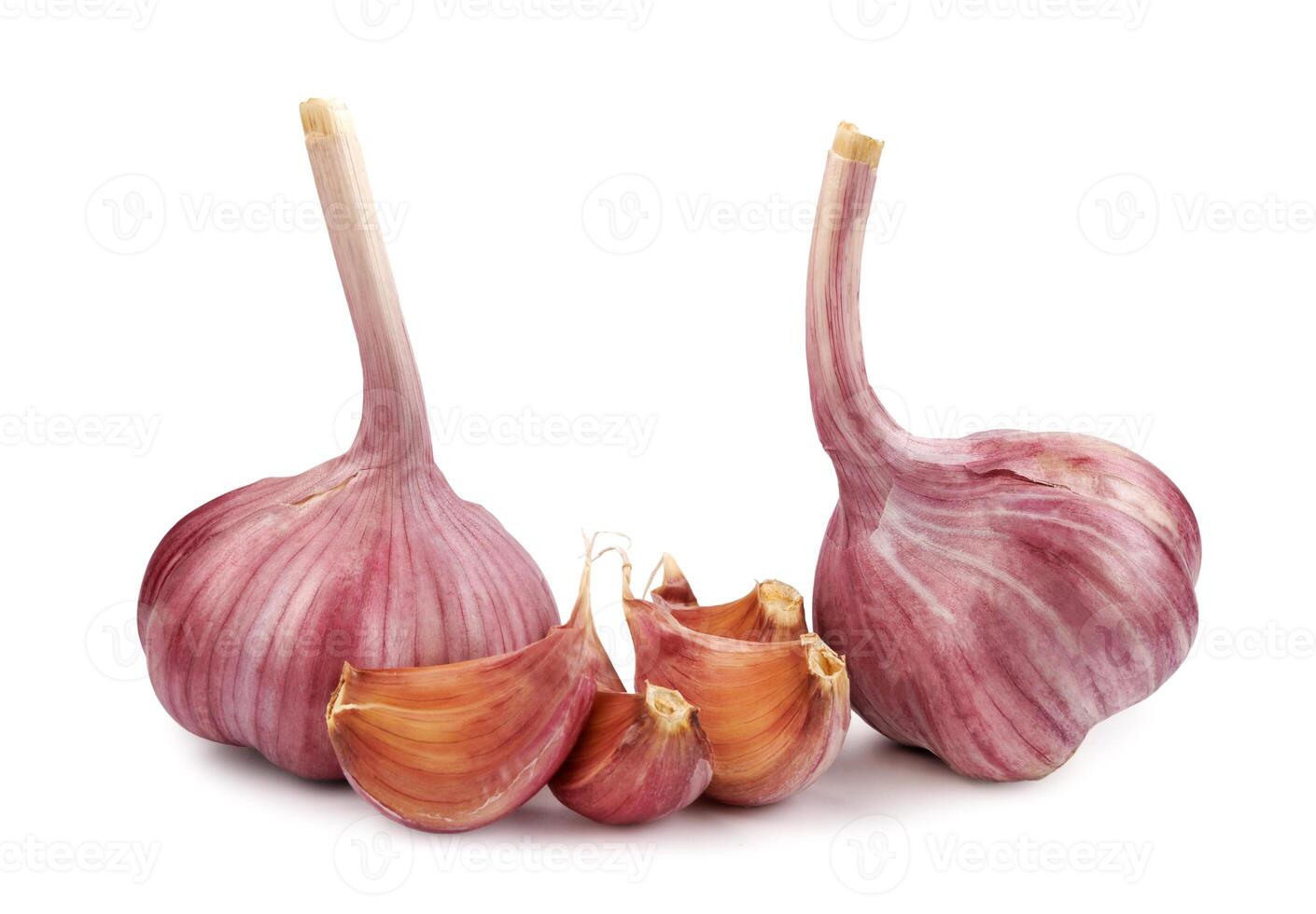 Two garlic bulbs and several cloves of garlic isolated on a white background. photo