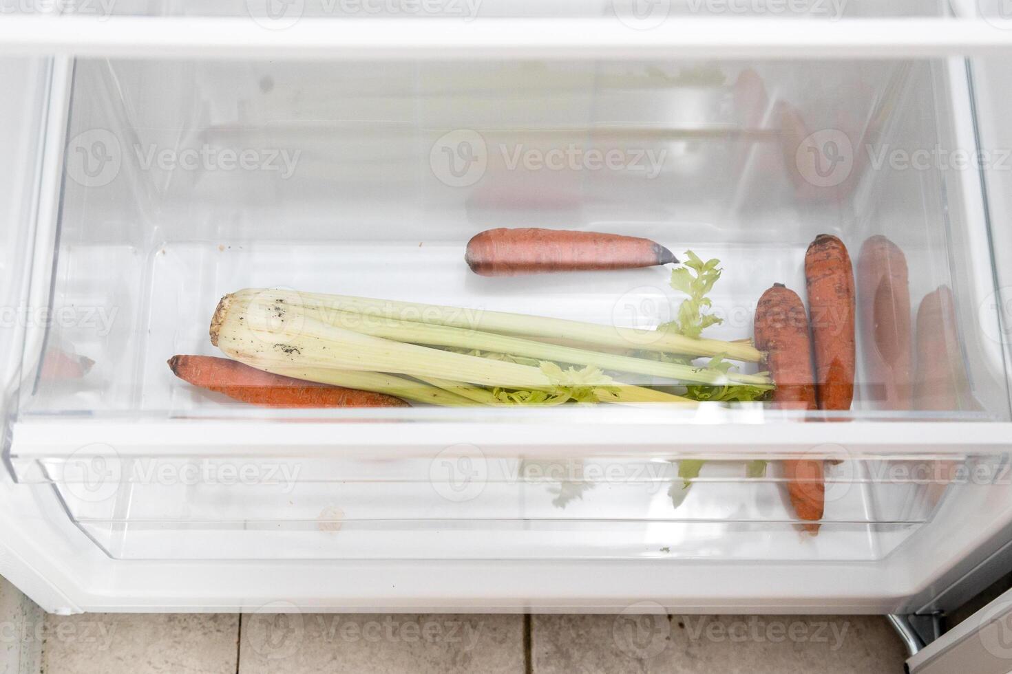 dried vegetables, carrots and celery in bottom box photo