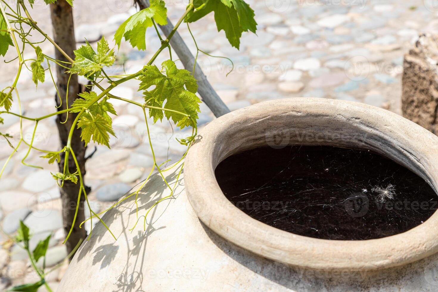 cobweb covered kvevri close up in courtyard photo