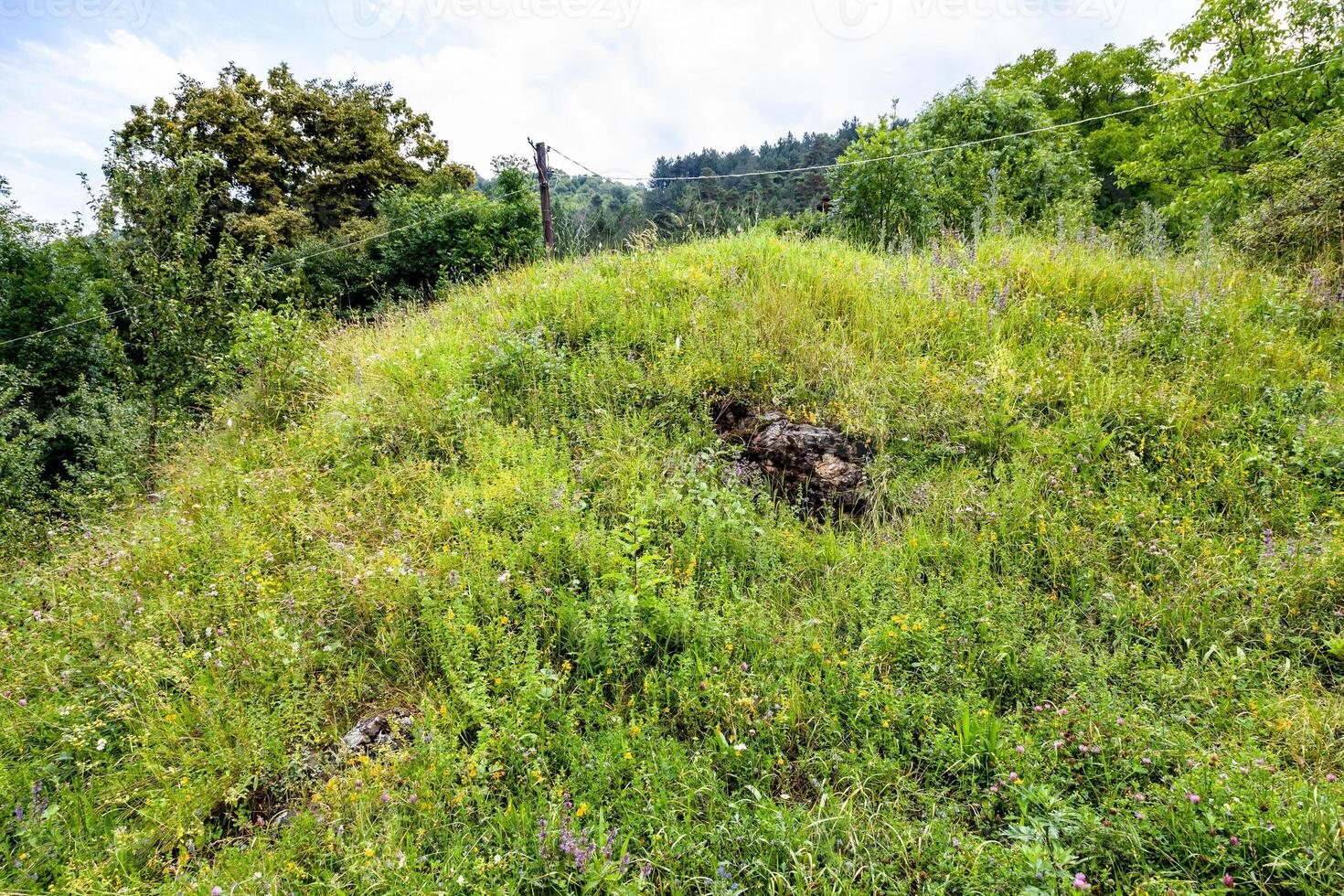 overgrown hill in mountain forest in Dilijan photo