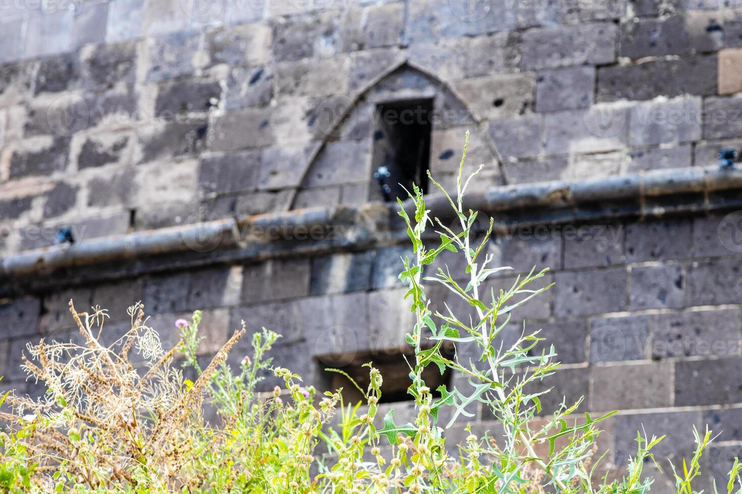green grass stalk and wall of black fortress photo