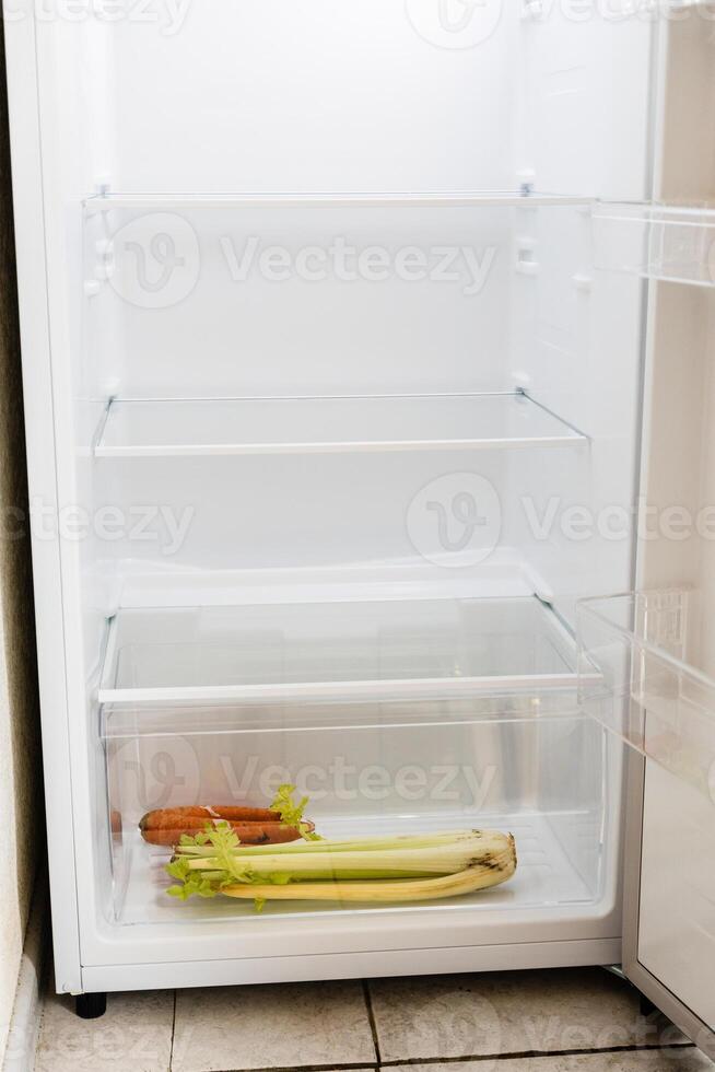 front view of refrigerator with dried vegetable photo