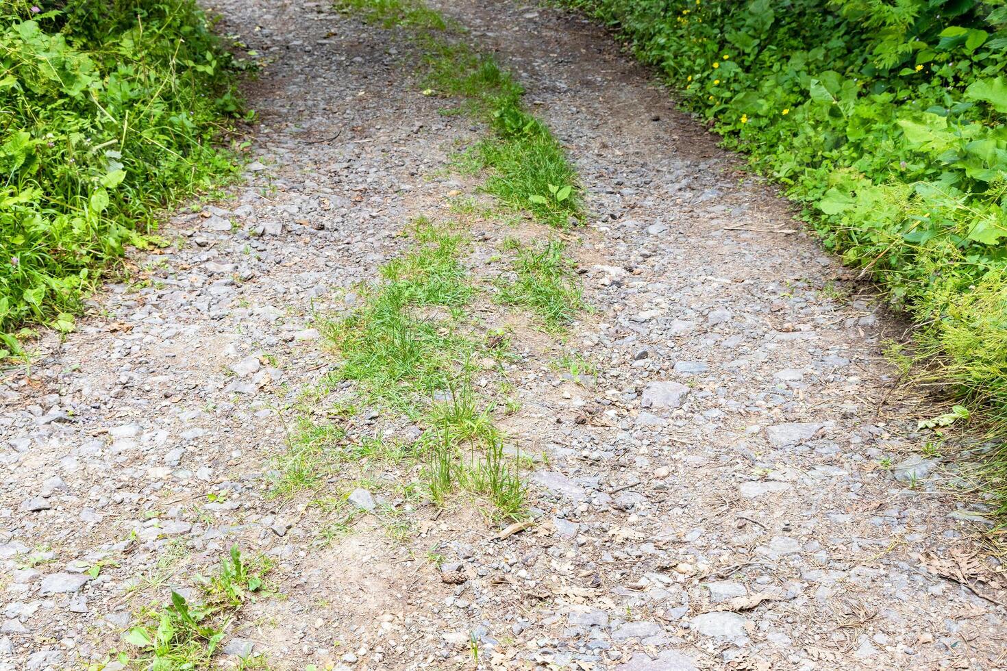surface of road in mountain forest in Dilijan photo