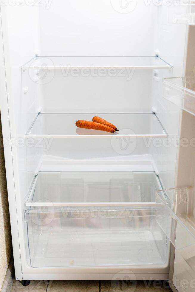front view of refrigerator with withered carrots photo
