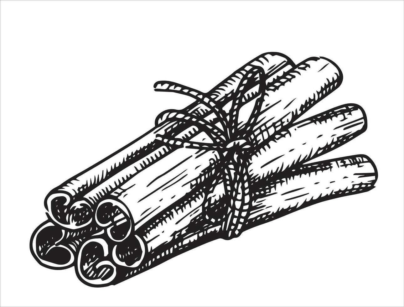 a bunch of cinnamon. illustration in sketch style vector