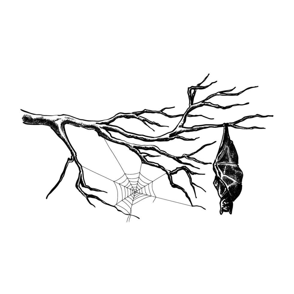 Black sketch The Bat Hanging on the dried Tree Hand drawn sketch vector