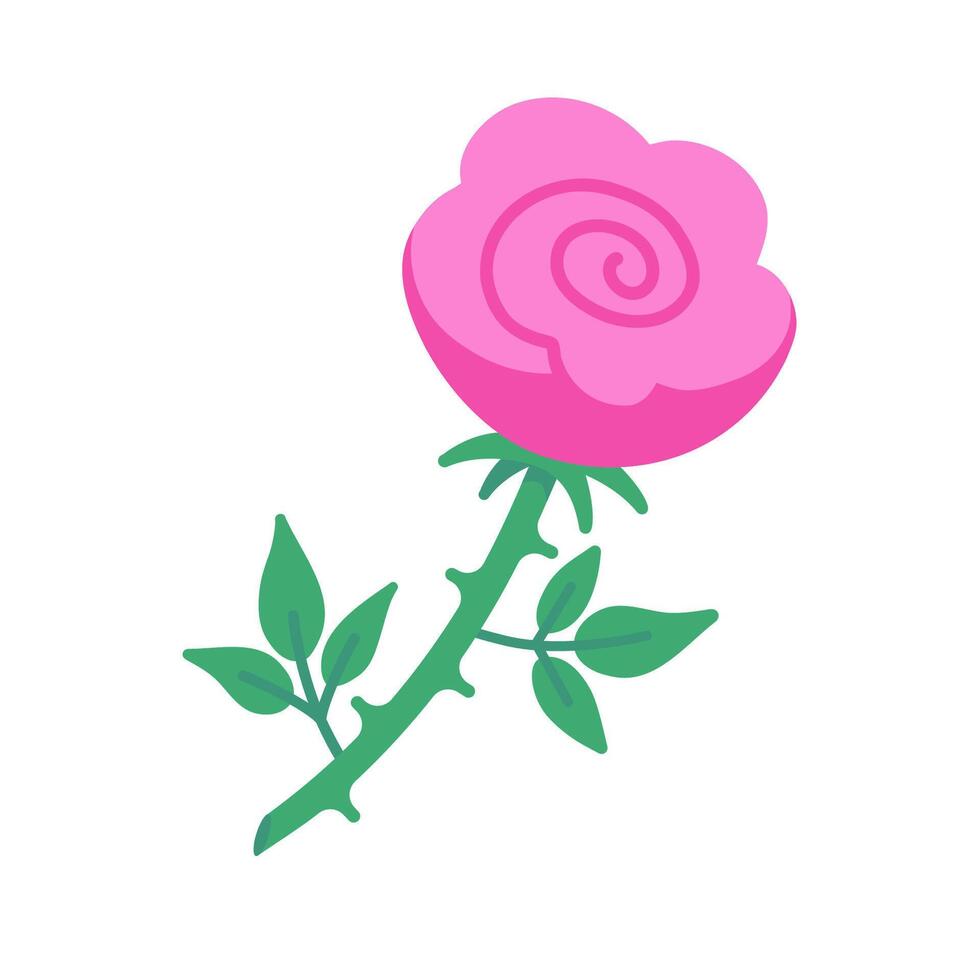 Cute pink rose hand drawn single drawing. Color flat illustration isolated on white background. vector