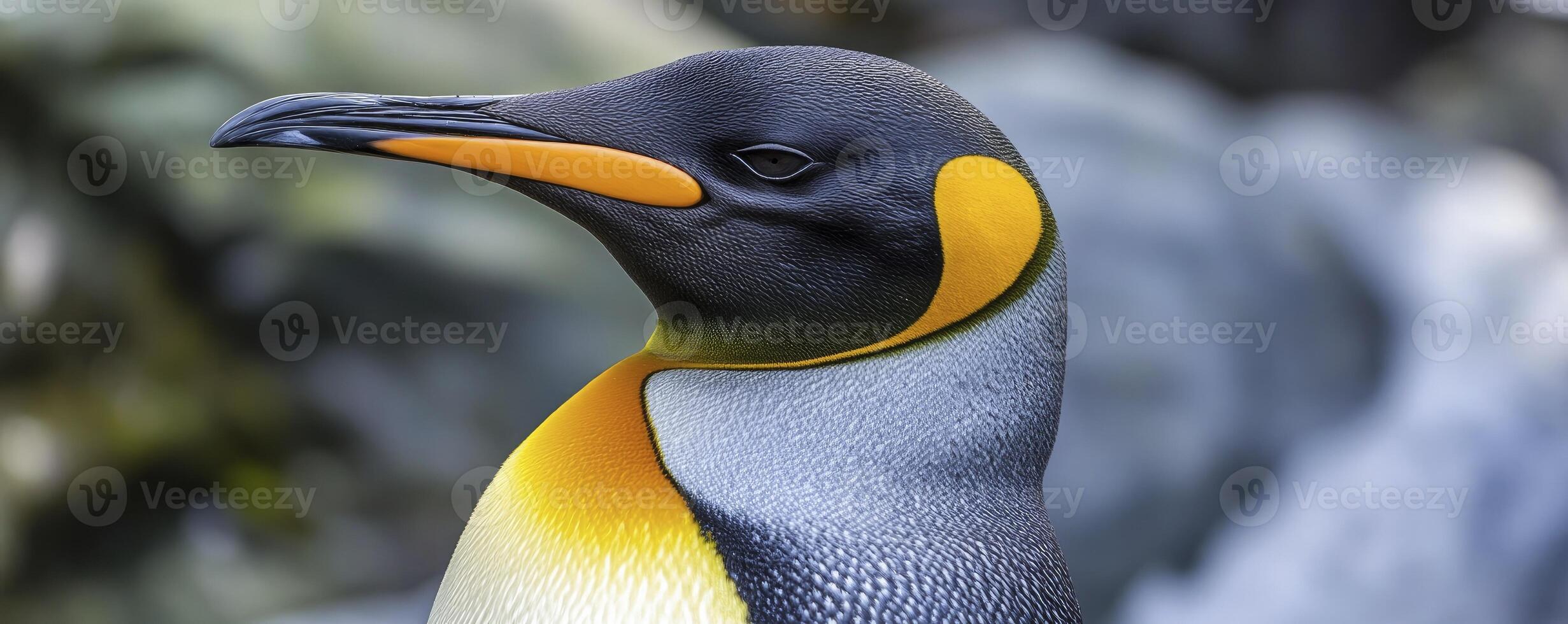 A close up of a penguin with a yellow and black beak photo