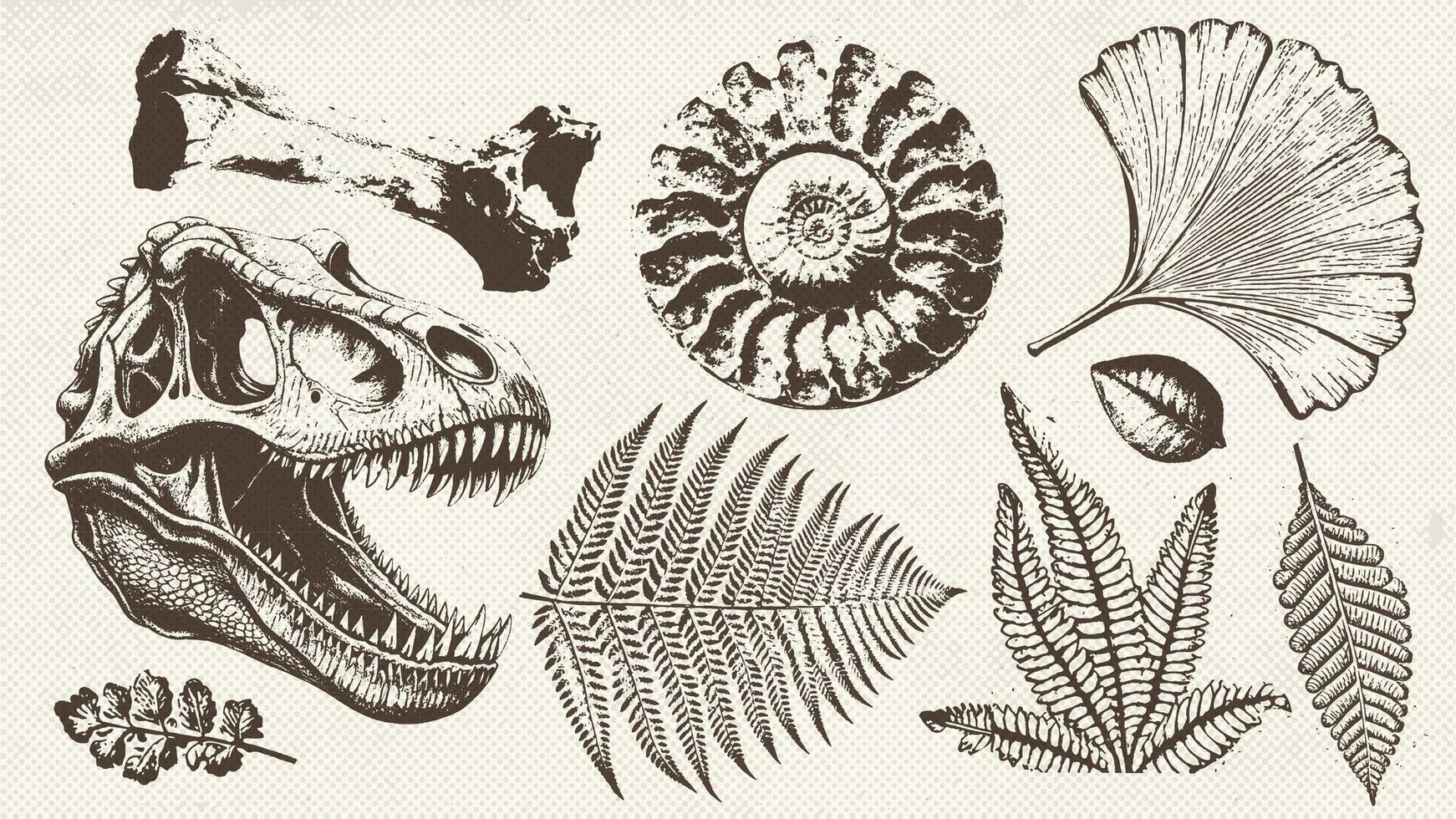 Prehistoric ammonite shell, dinosaur skull, ancient leaves imprints set . Dinosaur and prehistoric period collection of icons in monochrome style. vector