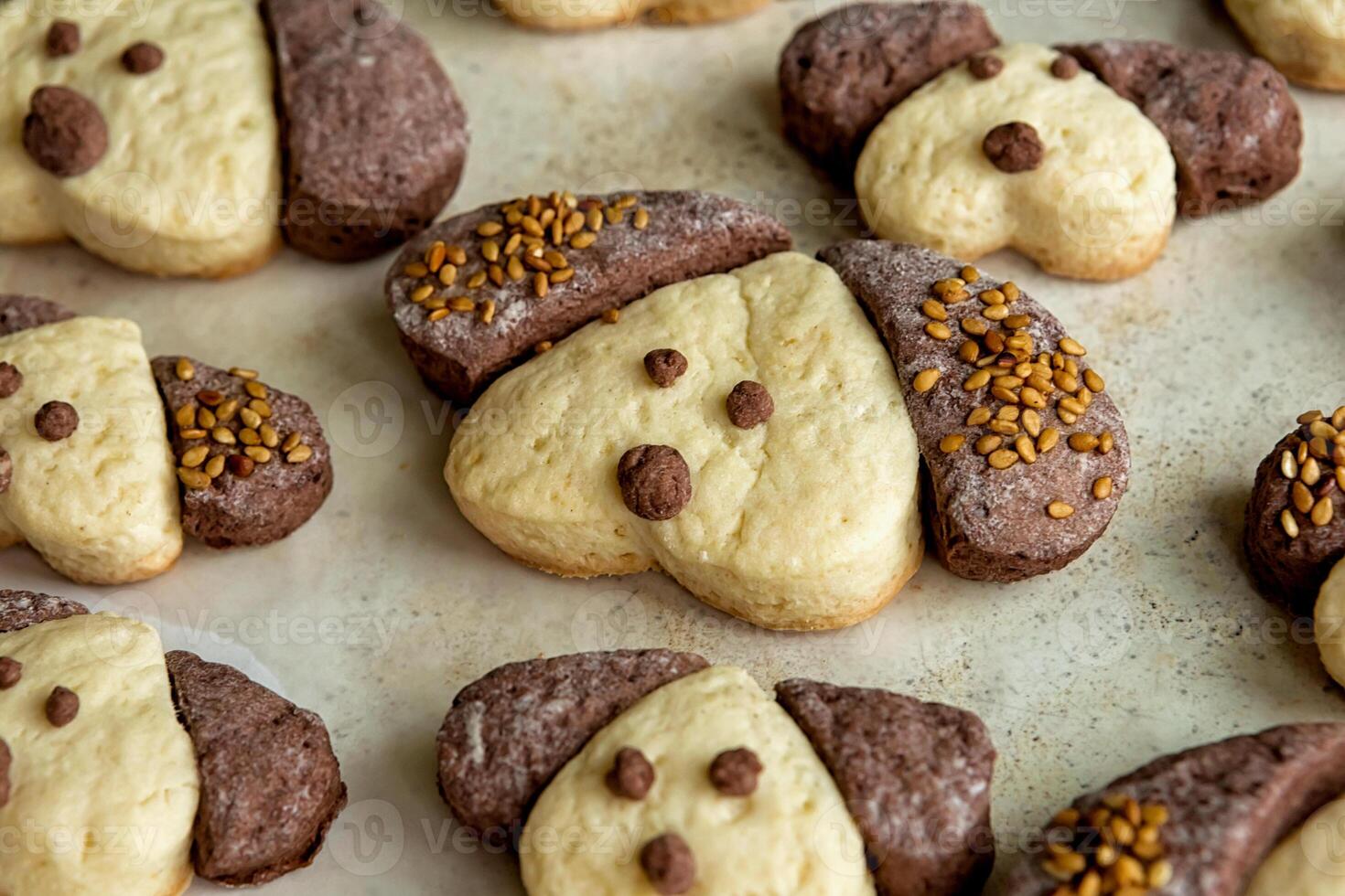 Cookies in the form of dogs in the form for baking photo