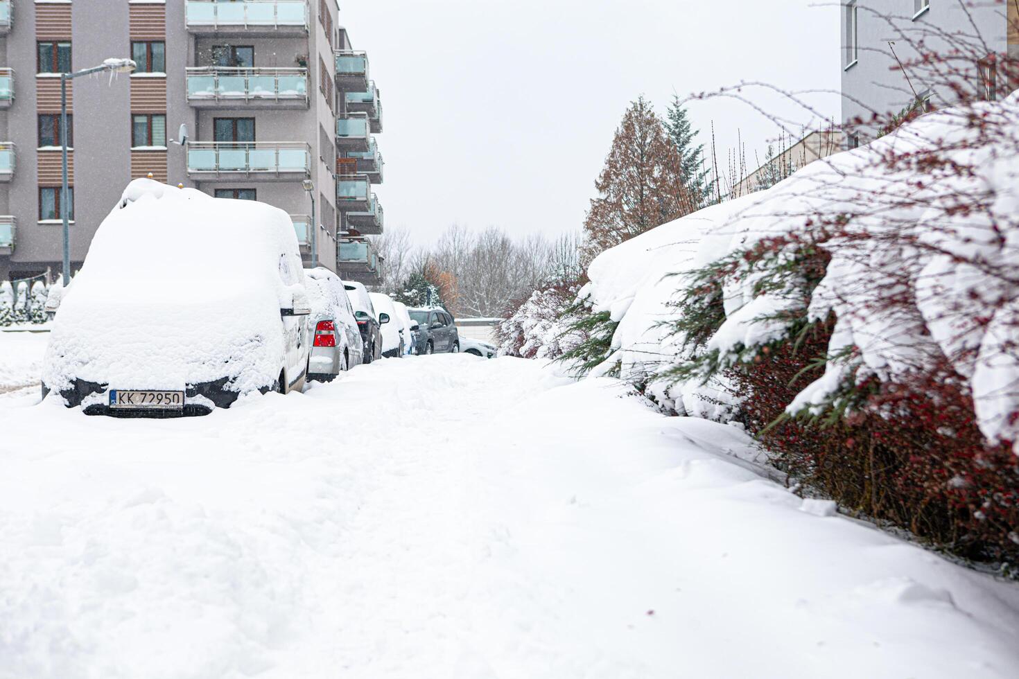 Poland, Krakow, 12.03.2023, snowfall, snowy street with cars after a blizzard photo