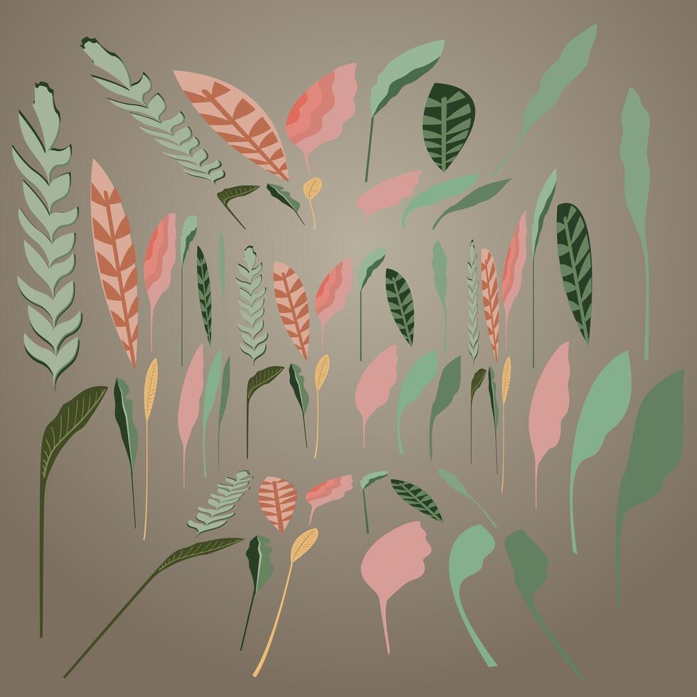 a drawing of plants with different colors and the word spring vector