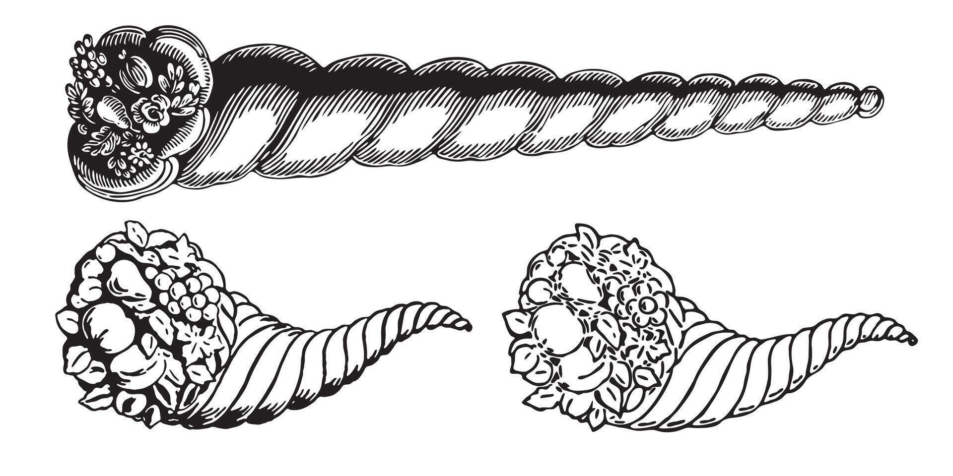 Set of cornucopias in antique engraving style vector