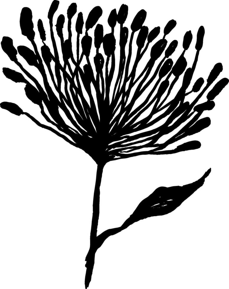 A black and white drawing of a flower vector