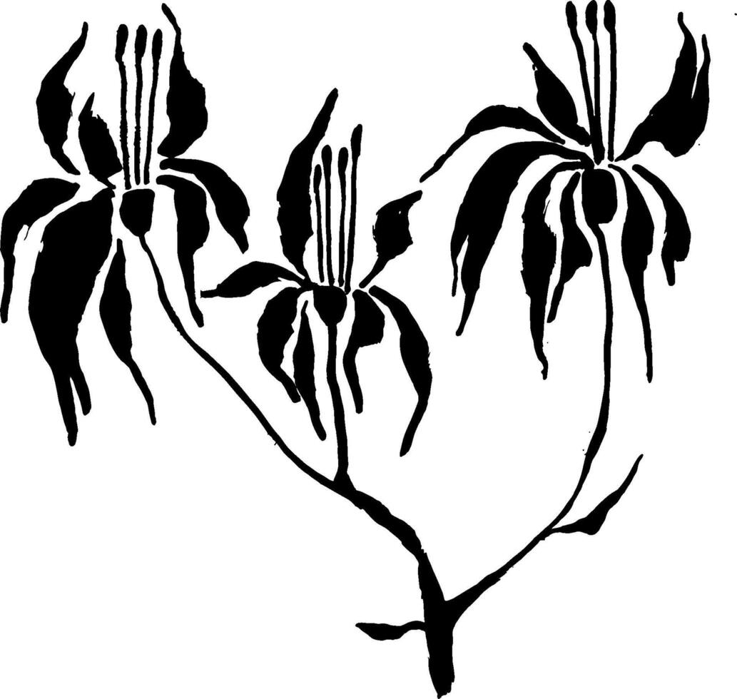 A black and white drawing of a flower vector