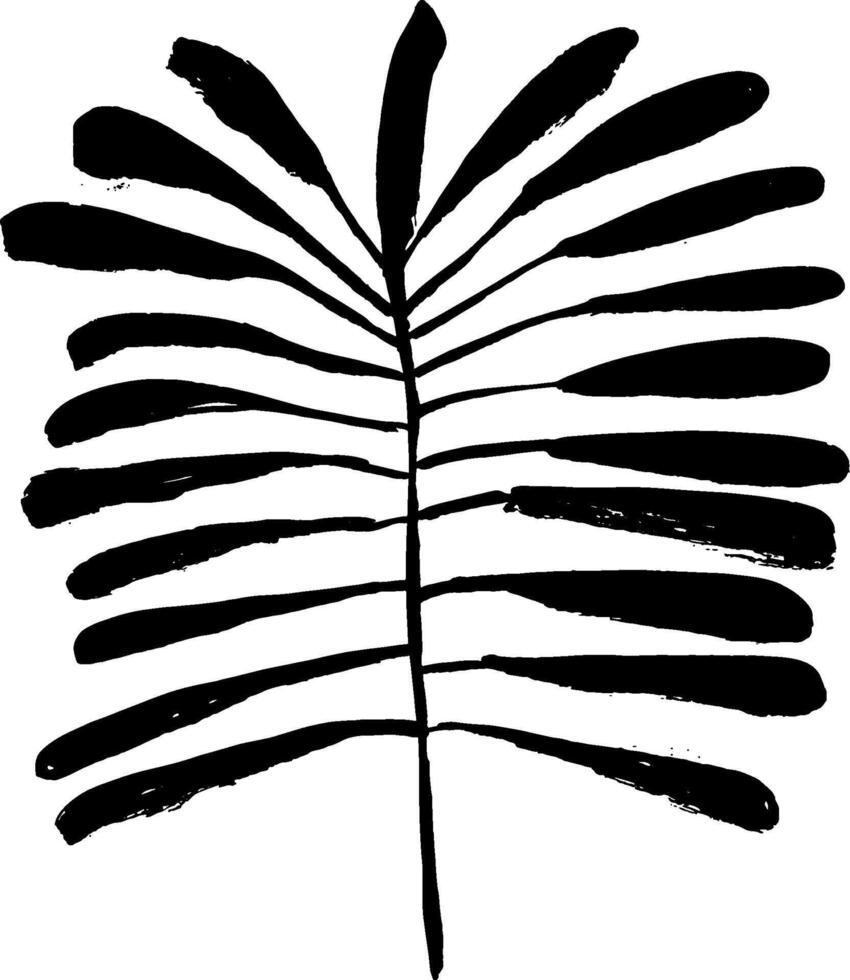 A black and white drawing of a palm leaf vector