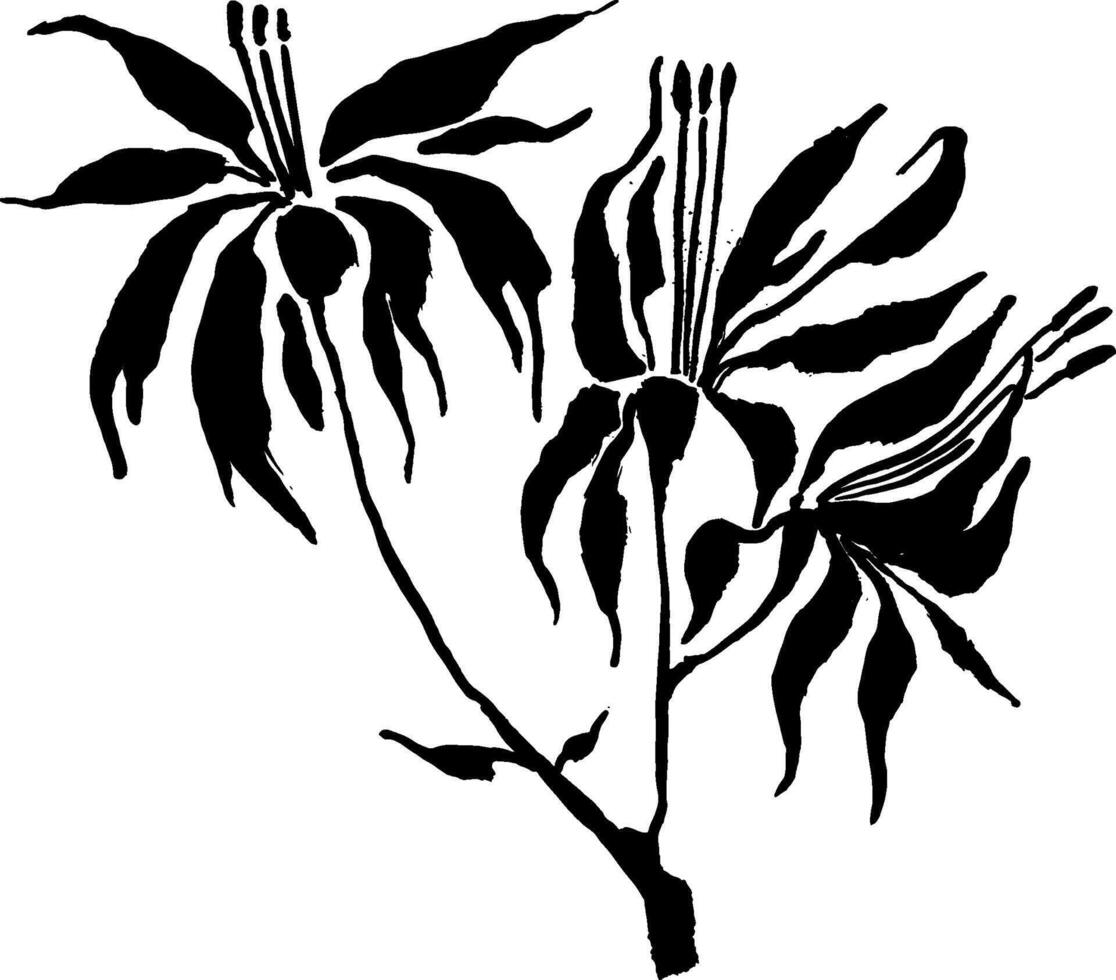 A black and white drawing of a flower vector