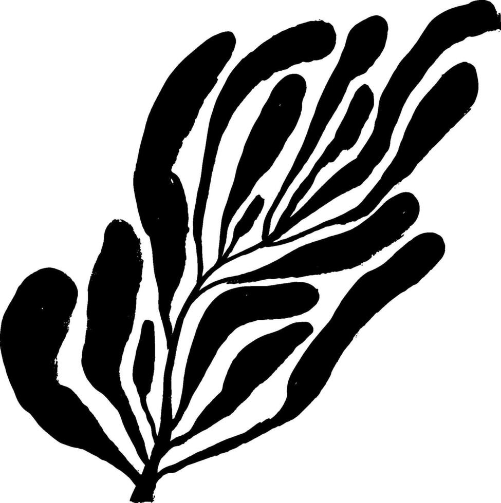 A black and white drawing of a leaf vector