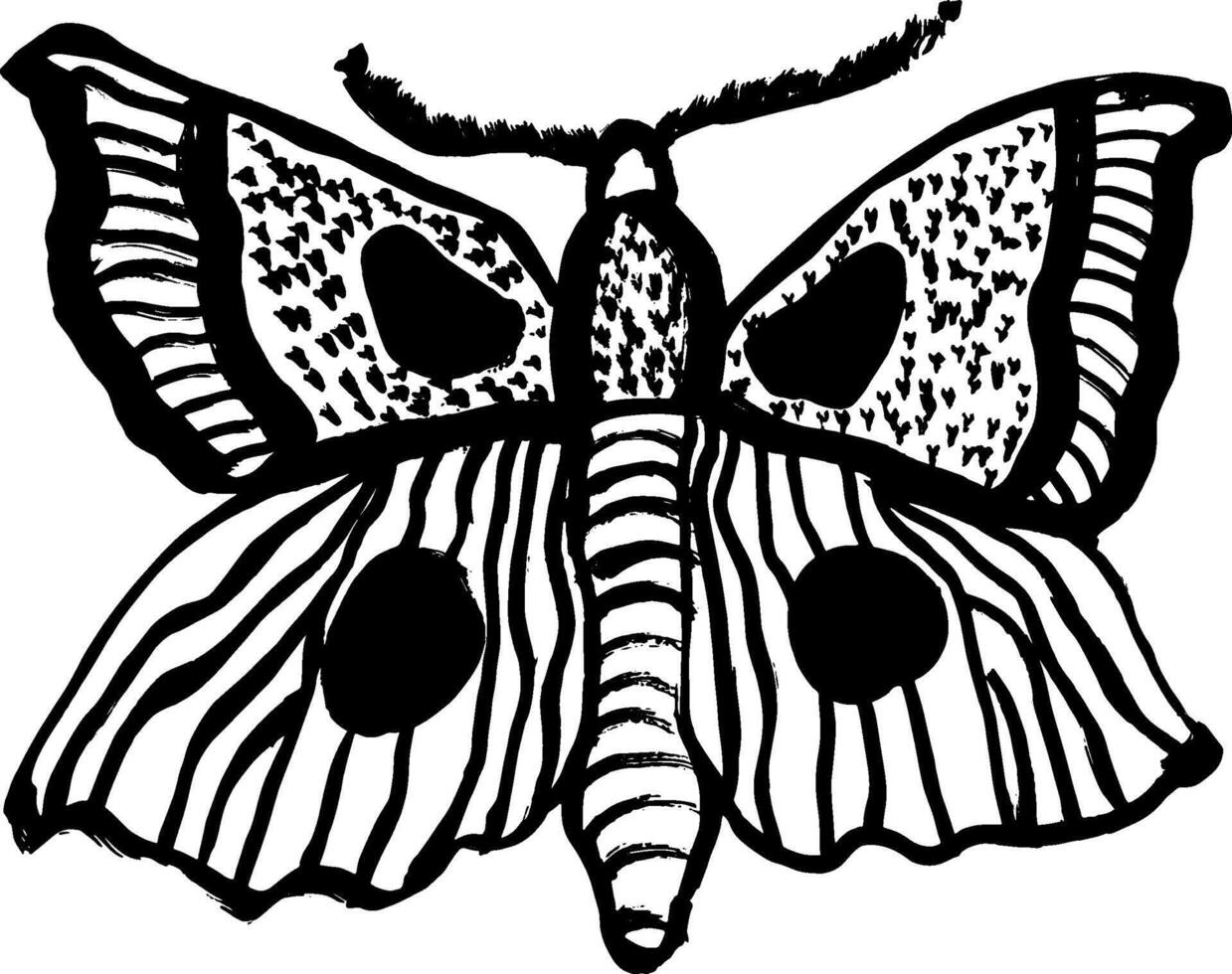 A black and white drawing of a butterfly vector