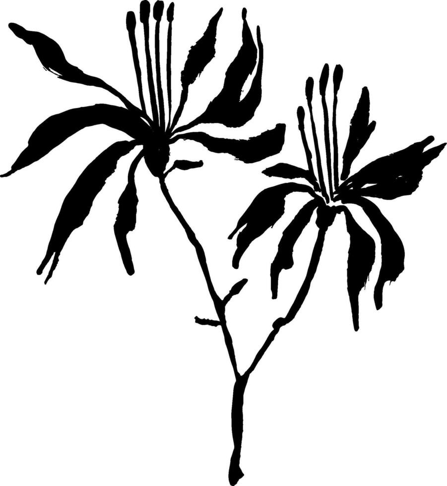 A black and white drawing of a flower vector