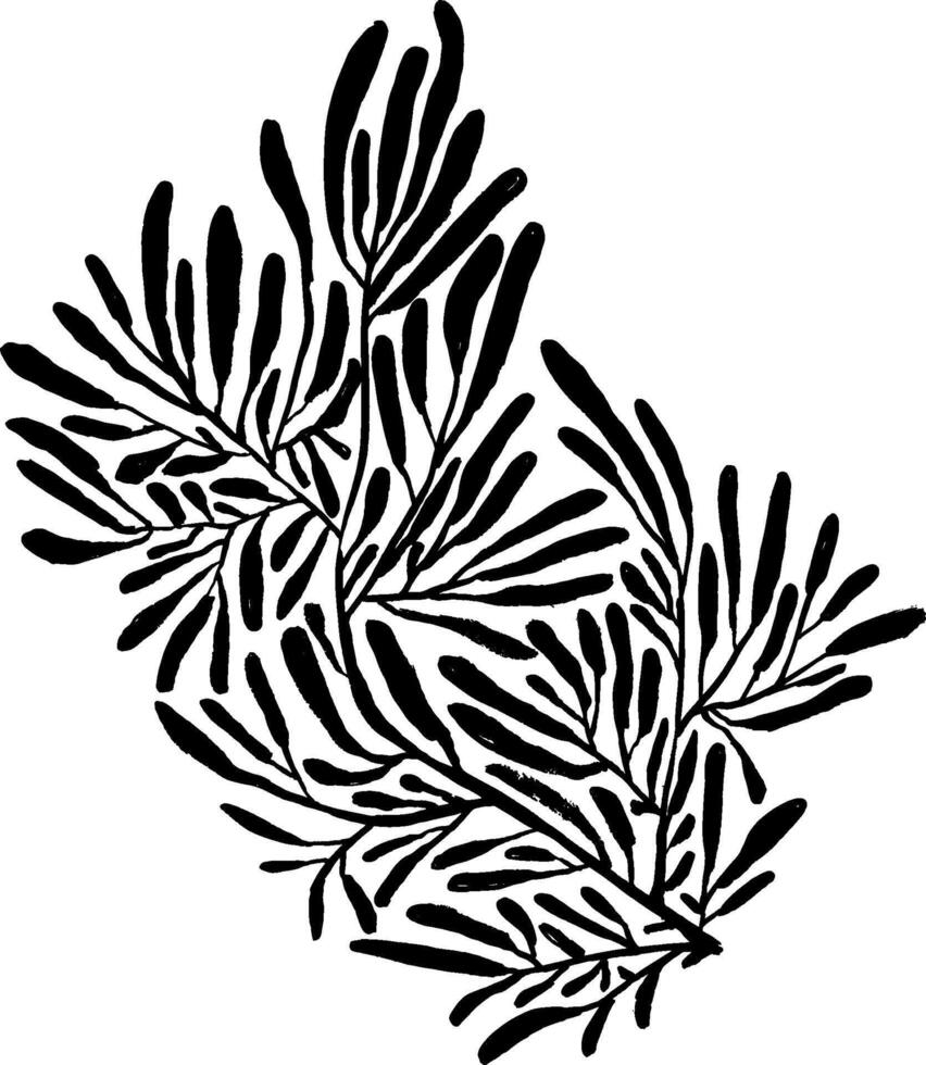 A black and white drawing of a plant vector