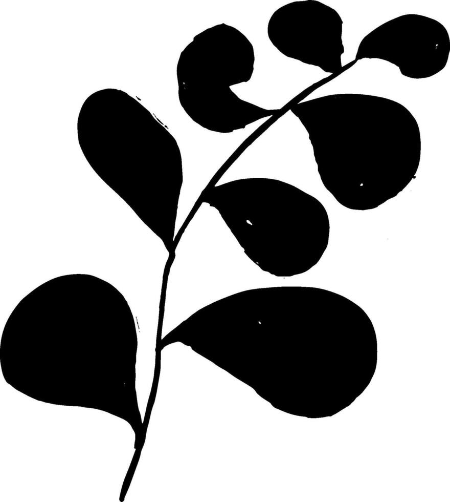 A black and white drawing of a leaf vector