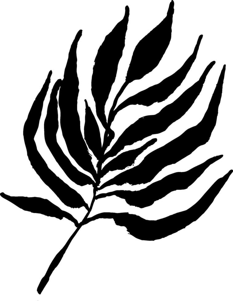 A black and white drawing of a leaf vector