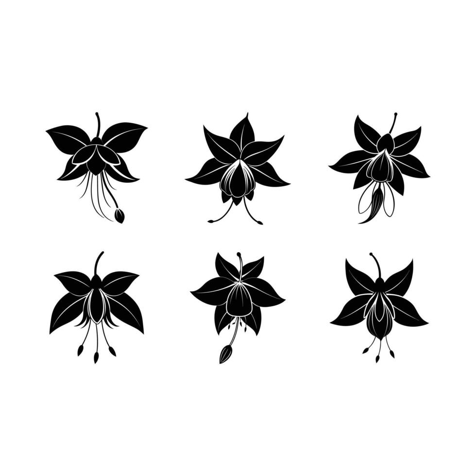 Fuchsia Flower and Line Art Illustration vector