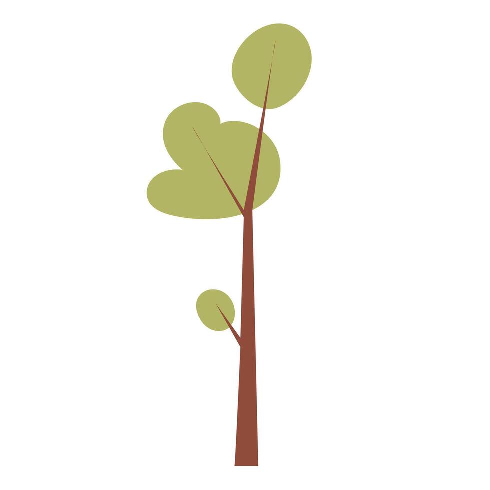 Green forest tree in flat design. Simple woodland plant with foliage. illustration isolated. vector