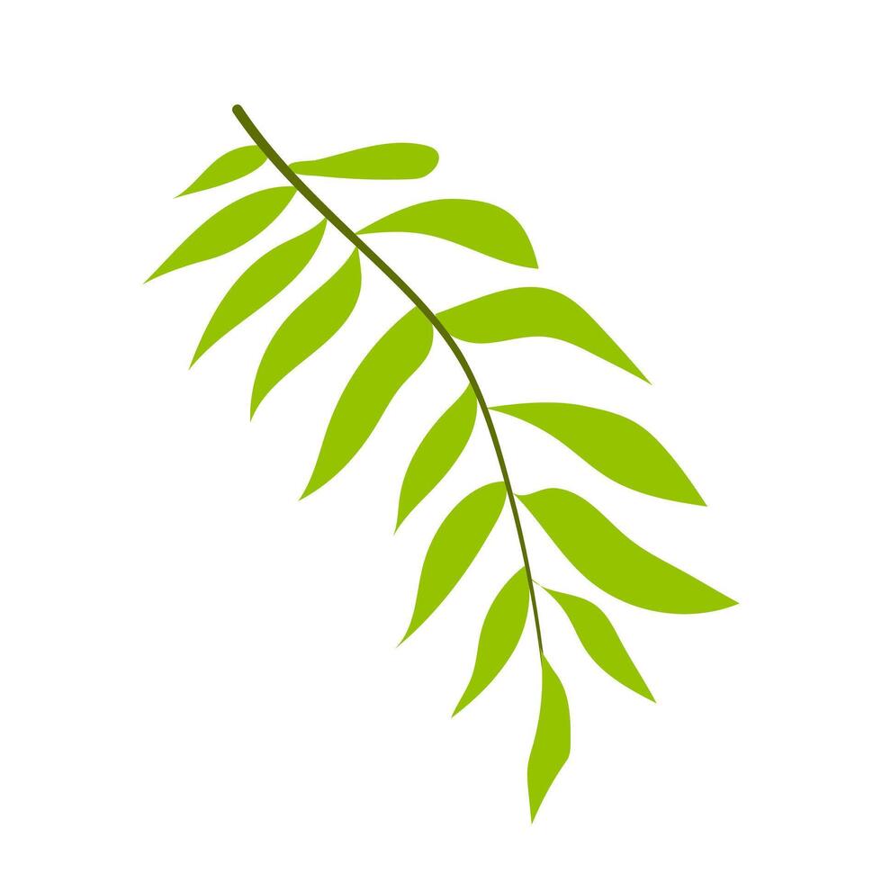 Green leaves branch in flat design. Foliage twig, greenery garden plant. illustration isolated. vector