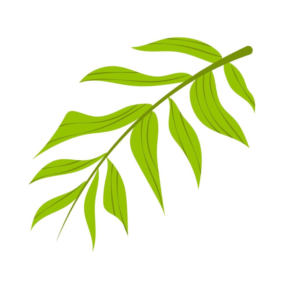 Green leaves on twig in flat design. Greenery with foliage, tropical plant . illustration isolated. vector