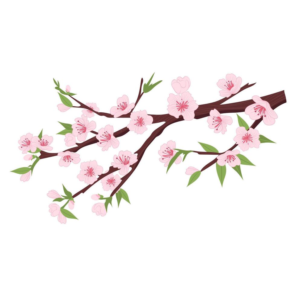 Sakura tree branch in flat design. Pink cherry blossoms with green leaves. illustration isolated. vector