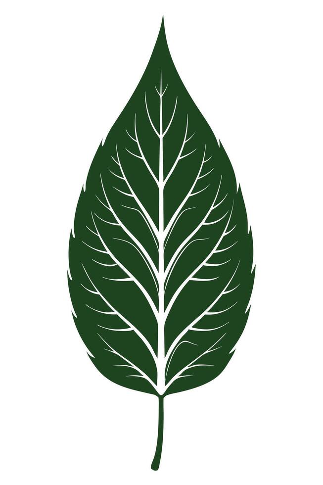 Leaf Flat vectorize Illustration vector