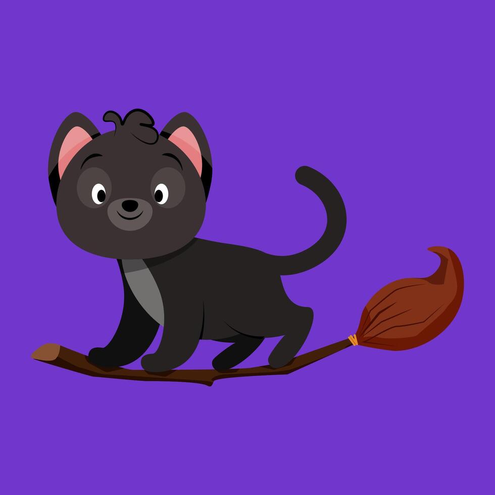 Cute black cat on a broom for Halloween vector