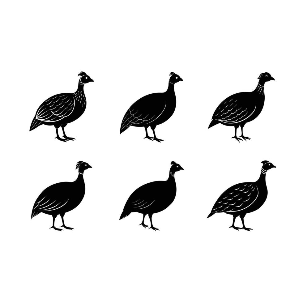 Guinea Fowl Bird and Line Art Design Illustration vector