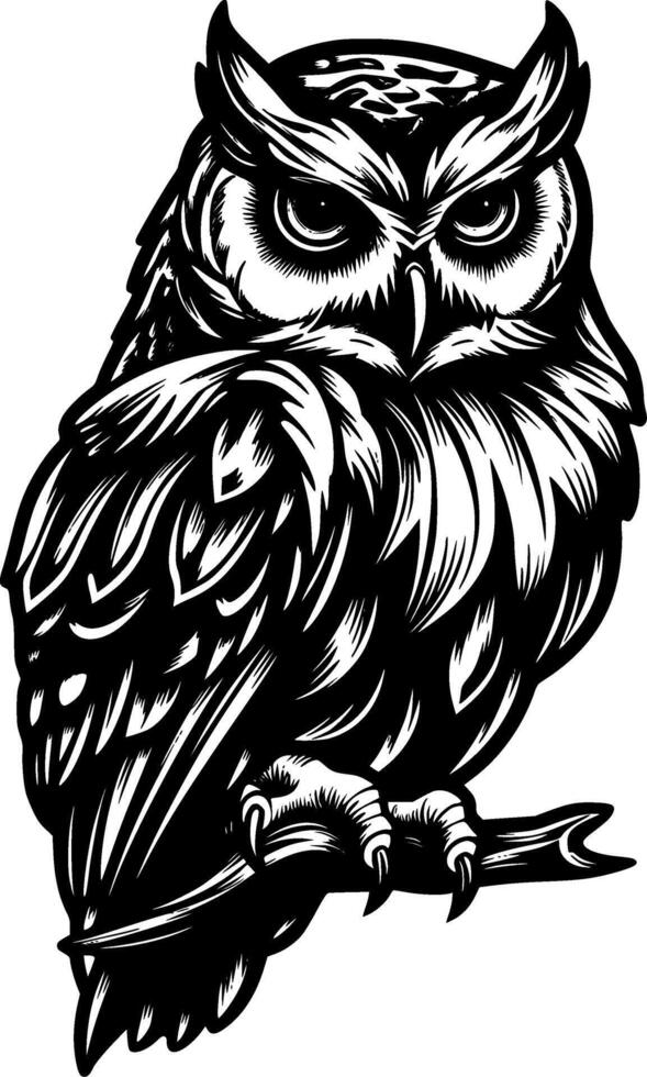 Owl - Black and White Isolated Icon - illustration vector