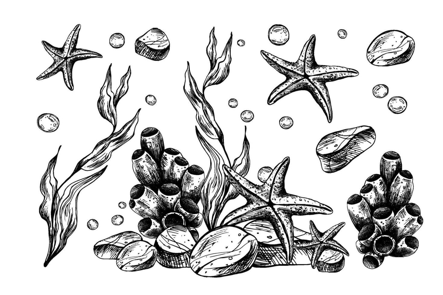 Underwater world clipart with sea animals starfish, pebbles, coral, sponge and algae. Graphic illustration hand drawn in black ink. Set of isolated objects EPS . vector