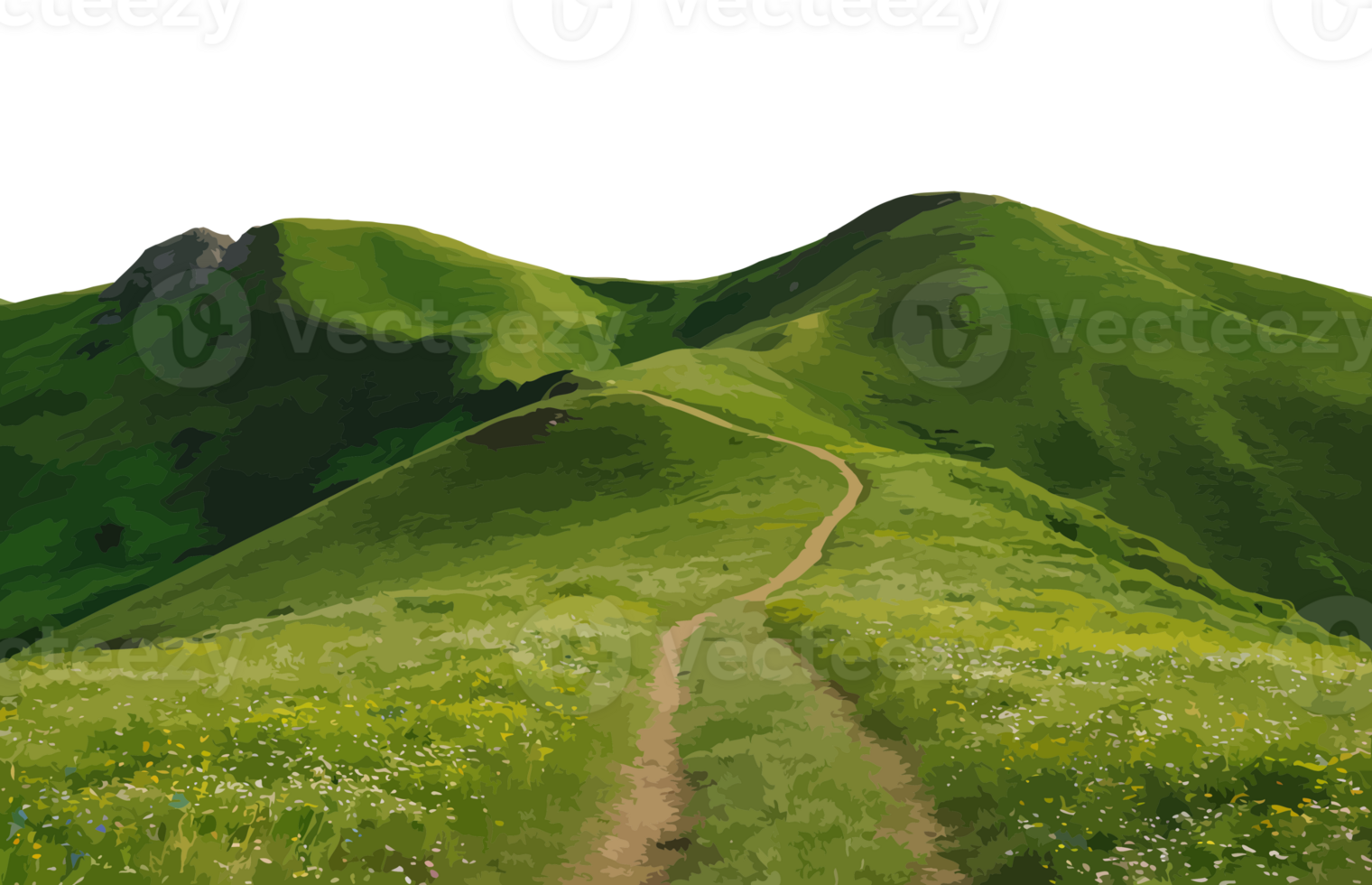 A path leading up a hill with green grass and flowers png
