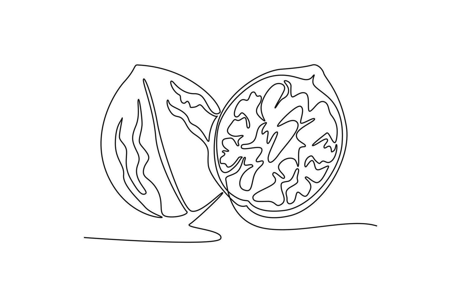 Single continuous line drawing of whole healthy organic walnut food for plantation logo identity. Fresh nutshell concept for healthy seed icon. Dynamic one line draw graphic design illustration vector
