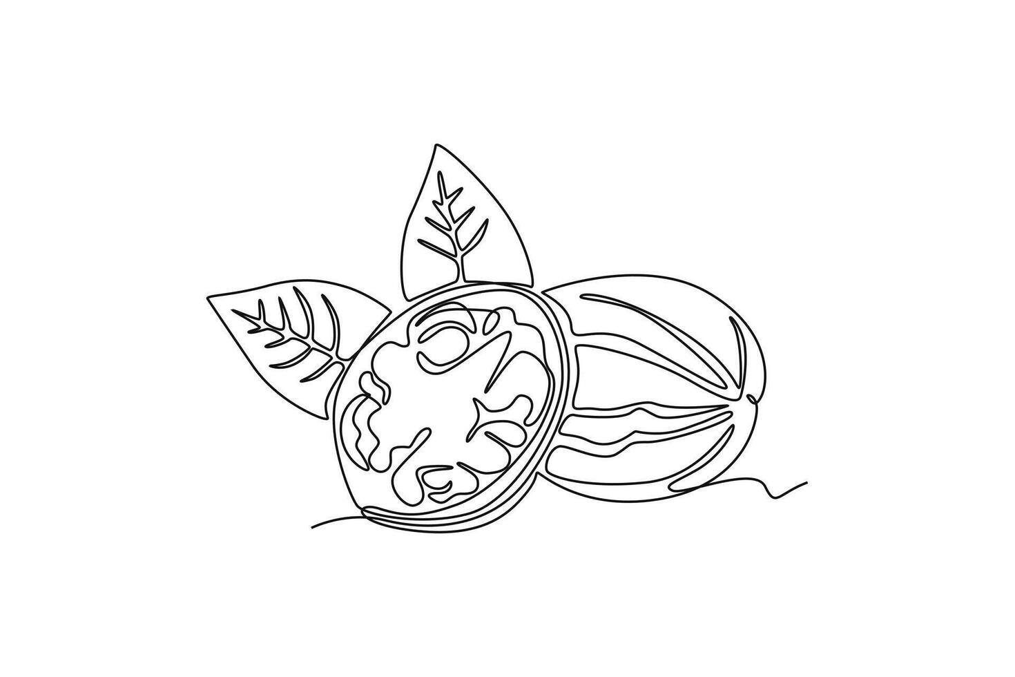 Single continuous line drawing of whole healthy organic walnut food and leaves for orchard logo identity. Fresh nutshell concept for healthy seed icon. One line draw graphic design illustration vector