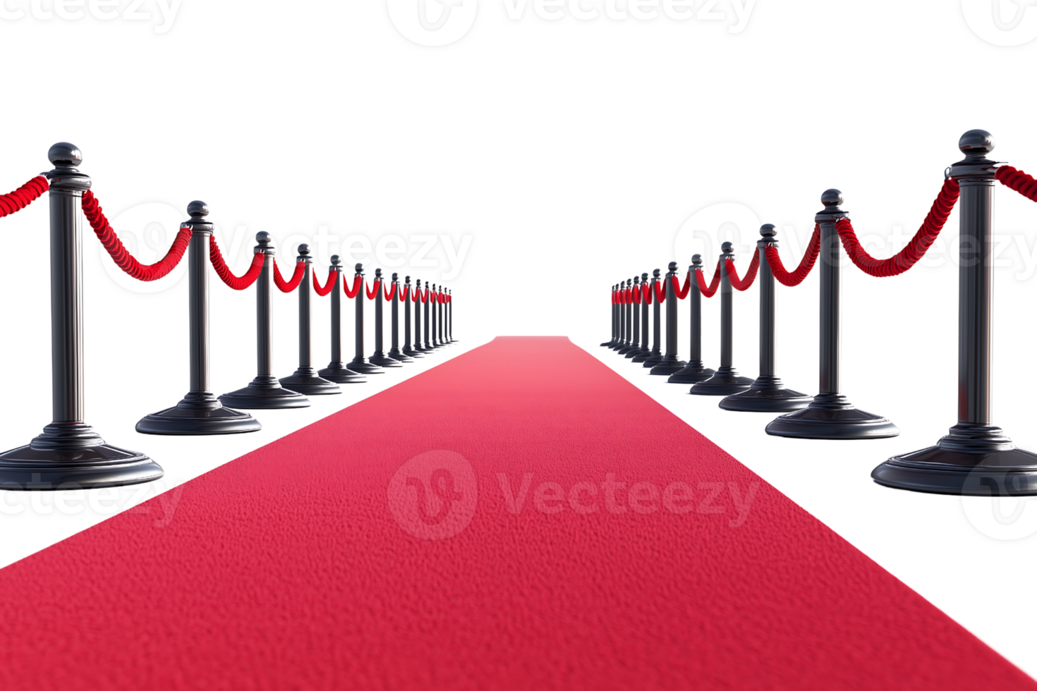 Red carpet with black barriers and rope ropes png