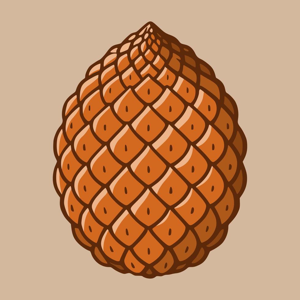 Fresh Salak Fruit Illustration vector
