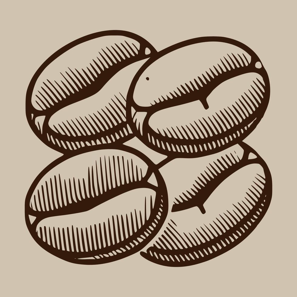 Roasted Coffee Beans Illustration vector