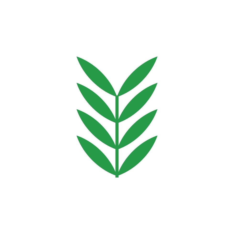 Icon green leaf unique design with blank background vector
