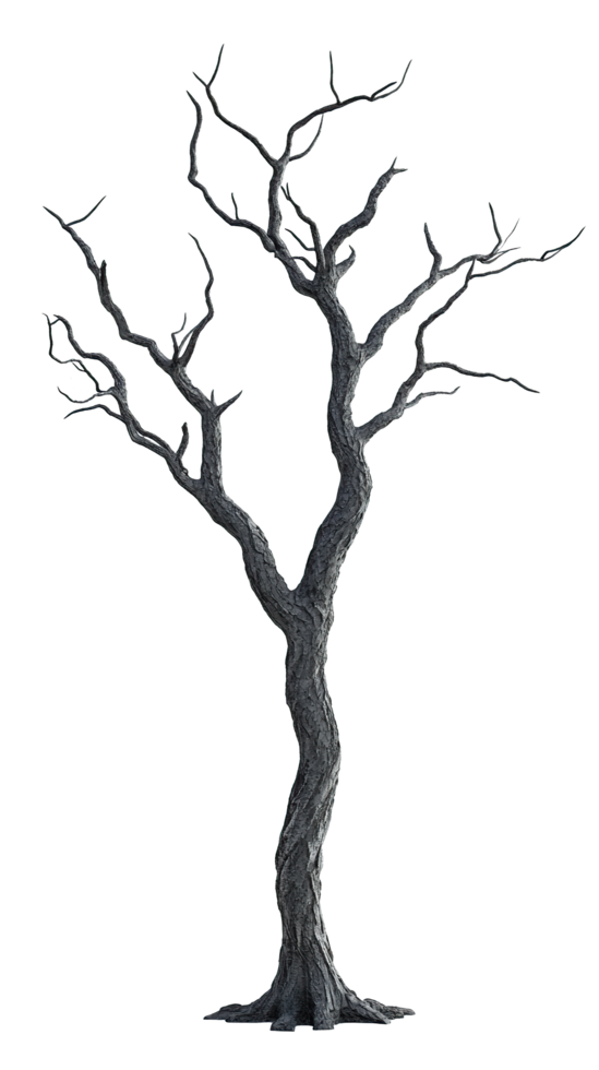 A tree with no leaves on it png