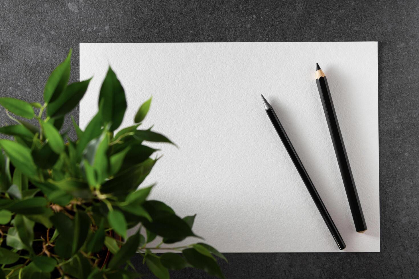 Paper mockup. Watercolor A4 paper with black pencils and plant on dark background. photo