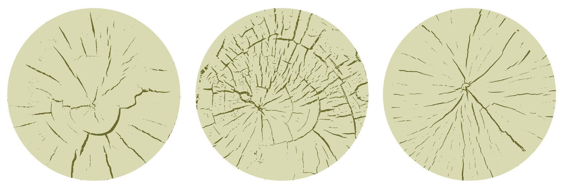 Set of circle wood texture, cross section of tree rings. Cut slice of wooden stump with cracks, isolated on white vector