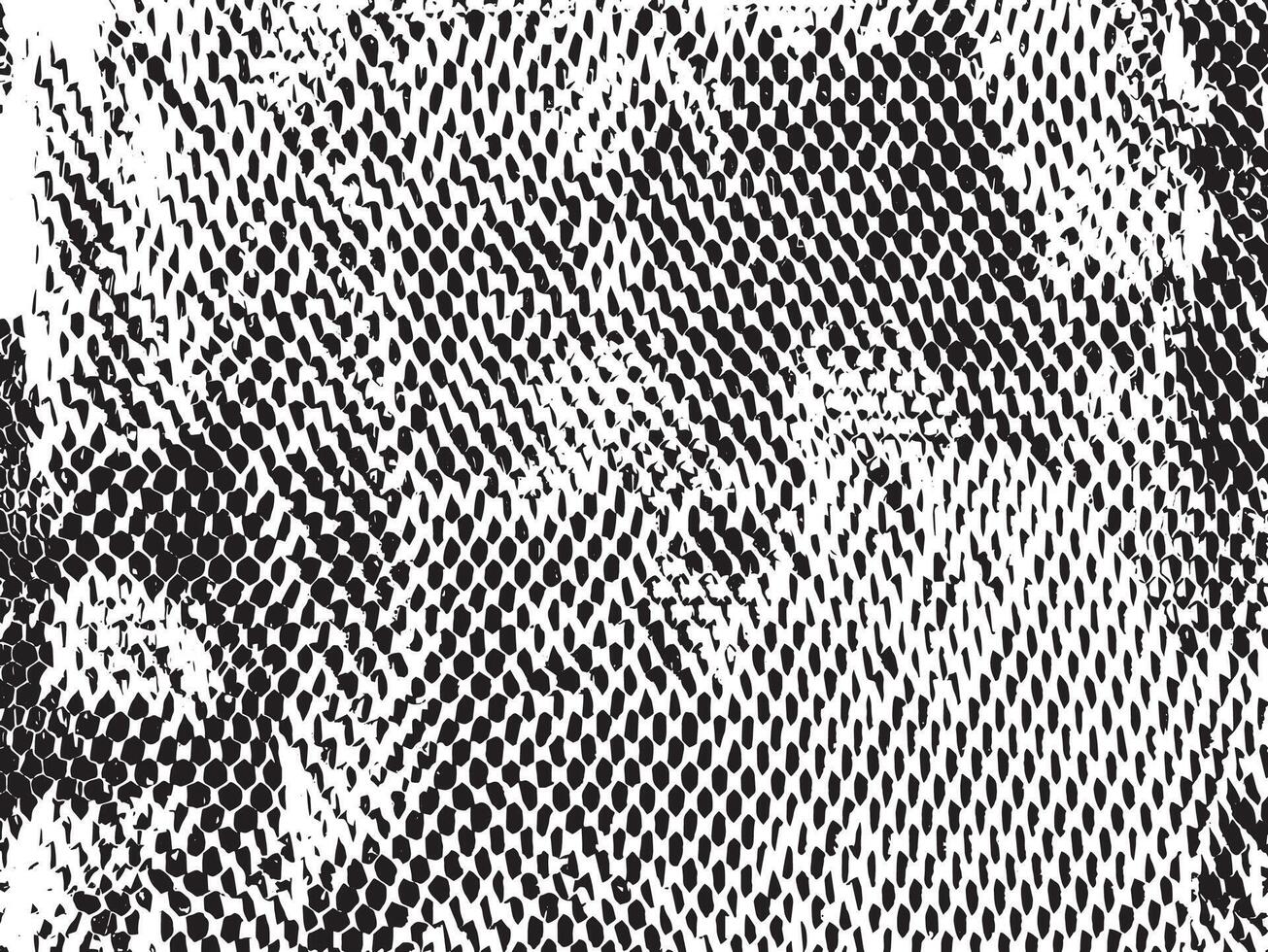 Black and white grunge mesh hexagon pattern. Cells in the honeycomb. Holes mosaic organic structure vector